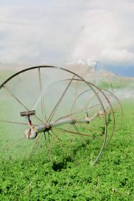 Pesticides wheel spraying 